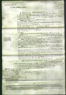 Court of Common Pleas - Margaret Robinson-Original Ancestry