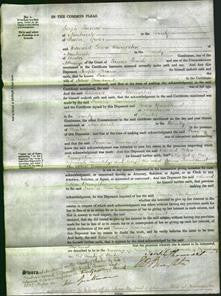 Court of Common Pleas - Frances Dewhurst-Original Ancestry