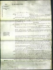 Court of Common Pleas - Apollonia Mary Elwin-Original Ancestry