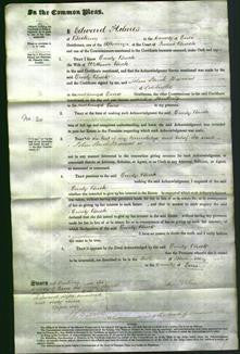 Court of Common Pleas - Emily Buck-Original Ancestry