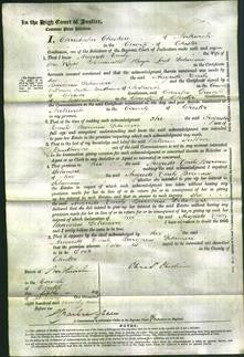 Court of Common Pleas - Augusta Emily Delamore-Original Ancestry