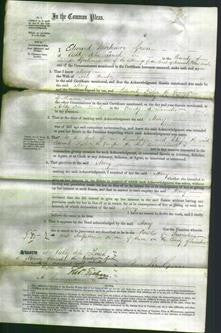 Court of Common Pleas - Mary Hunt-Original Ancestry