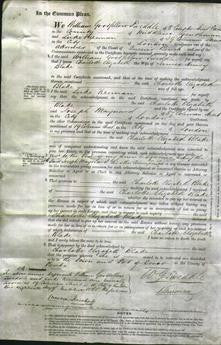 Court of Common Pleas - Charlotte Elizabeth Blake-Original Ancestry