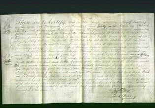 Deed by Married Women - Mary Tyrrell-Original Ancestry