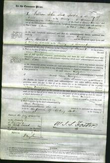 Court of Common Pleas - Ann Morgan-Original Ancestry