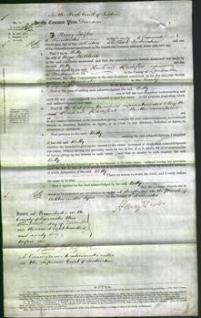 Court of Common Pleas - Betty Hillkirk-Original Ancestry