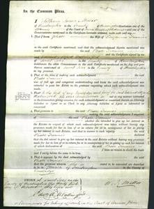 Court of Common Pleas- Phoebe Furniss-Original Ancestry