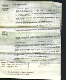 Court of Common Pleas - Susan Pain-Original Ancestry