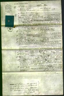 Court of Common Pleas - Ann Lewis and Sarah Jones-Original Ancestry