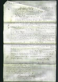 Court of Common Pleas - Sarah Sugden-Original Ancestry