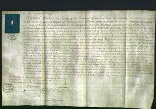 Court of Common Pleas - Elizabeth Lewis-Original Ancestry