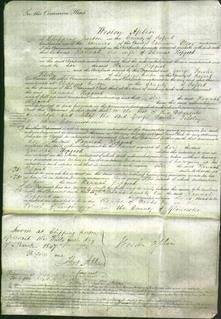 Court of Common Pleas - Hannah Hopgood-Original Ancestry