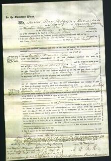 Court of Common Pleas - Jane Smyth-Original Ancestry