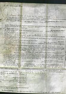 Court of Common Pleas - Anne Elizabeth Jordan-Original Ancestry
