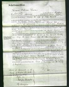 Court of Common Pleas - Maria Muscott-Original Ancestry