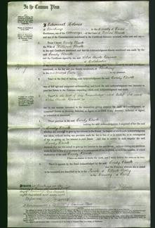 Court of Common Pleas - Emily Buck-Original Ancestry