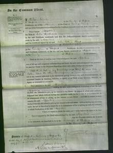 Court of Common Pleas - Appolina Smallwood-Original Ancestry