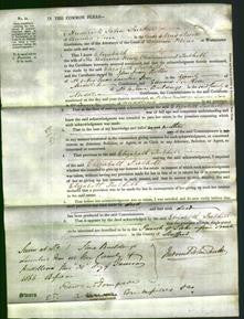 Court of Common Pleas - Elizabeth Tuthill-Original Ancestry