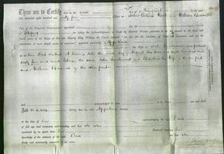 Deed by Married Women - Appolina Smallwood-Original Ancestry