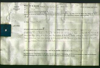 Deed by Married Women - Emily Buck-Original Ancestry
