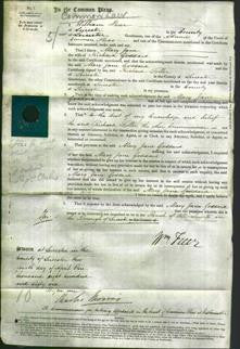 Court of Common Pleas - Mary Jane Goddard-Original Ancestry