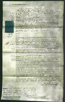 Court of Common Pleas - Eliza Sarah Roe-Original Ancestry