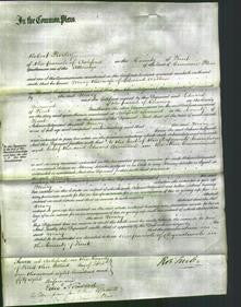 Court of Common Pleas - Mary Wicken-Original Ancestry