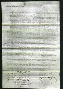 Court of Common Pleas - Mary Jewkes-Original Ancestry