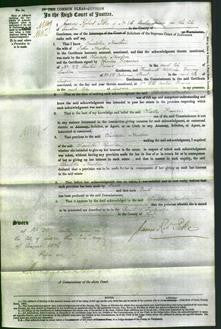 Court of Common Pleas - Charlotte Newton-Original Ancestry