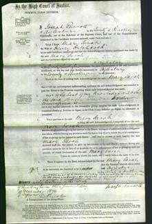 Court of Common Pleas - Mary Sarah Hitchcock-Original Ancestry
