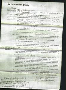 Court of Common Pleas - Jane Frankland-Original Ancestry