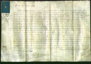 Court of Common Pleas - Catherine Williams-Original Ancestry