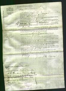 Court of Common Pleas - Henrietta Trinmer-Original Ancestry