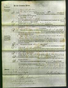 Court of Common Pleas - Sarah Mabbett-Original Ancestry