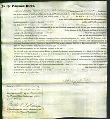 Court of Common Pleas - Sarah Watchorn-Original Ancestry