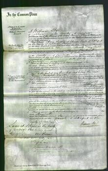 Court of Common Pleas - Mary Crabb-Original Ancestry