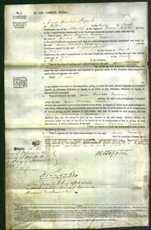 Court of Common Pleas - Ann Frances Tuson-Original Ancestry