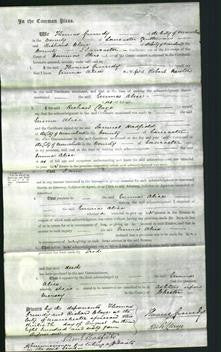 Court of Common Pleas - Emma Alice Newton-Original Ancestry