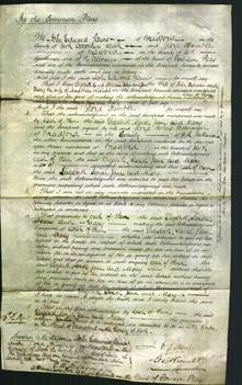 Court of Common Pleas - Elizabeth Holmes, Sarah Jane Marsden and Mary Whitehead-Original Ancestry