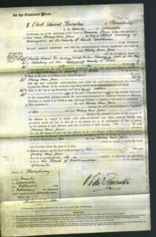 Court of Common Pleas - Mary Ann Jane Dowling-Original Ancestry