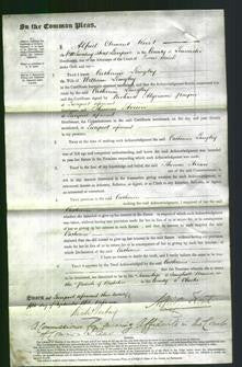 Court of Common Pleas - Catherine Langley-Original Ancestry