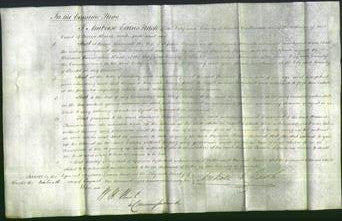 Court of Common Pleas - Hannah Palmer-Original Ancestry