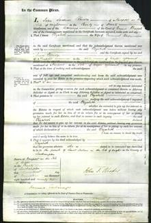 Court of Common Pleas - Elizabeth Wade-Original Ancestry