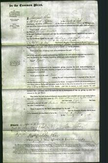 Court of Common Pleas - Jane Horsfall-Original Ancestry