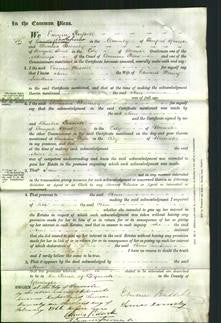 Court of Common Pleas - Ann Jenkins-Original Ancestry