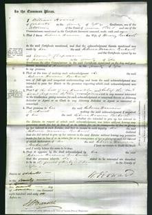 Court of Common Pleas - Rebecca Harman Beckwith-Original Ancestry