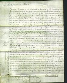 Court of Common Pleas - Martha Bache-Original Ancestry