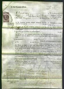 Court of Common Pleas - Margaret Matthews-Original Ancestry