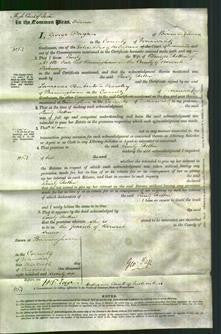 Court of Common Pleas - Emily Rotton-Original Ancestry