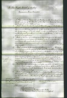 Court of Common Pleas - Emily Chaney-Original Ancestry